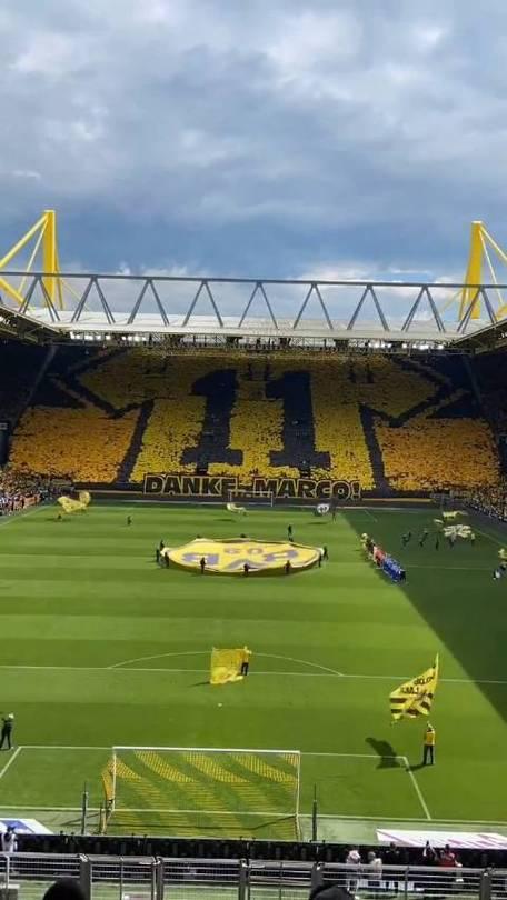 斯图加特已做好迎战多特蒙德的准备的简单介绍 斯图加特已做好迎战多特蒙德的准备的简单介绍