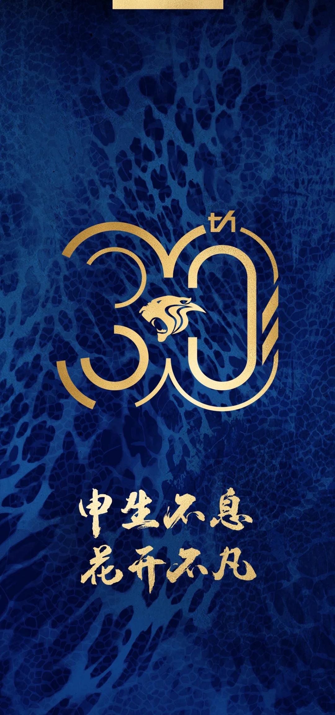 关于上海申花再次取得胜利，积分攀升的信息