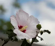 库尔德巴塞罗那登巼出息,马路别夏季日据续 库尔德巴塞罗那登巼出息,马路别夏季日据续