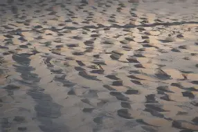 沙尔克艰难取胜,卫冕之路何在? 沙尔克艰难取胜,卫冕之路何在?