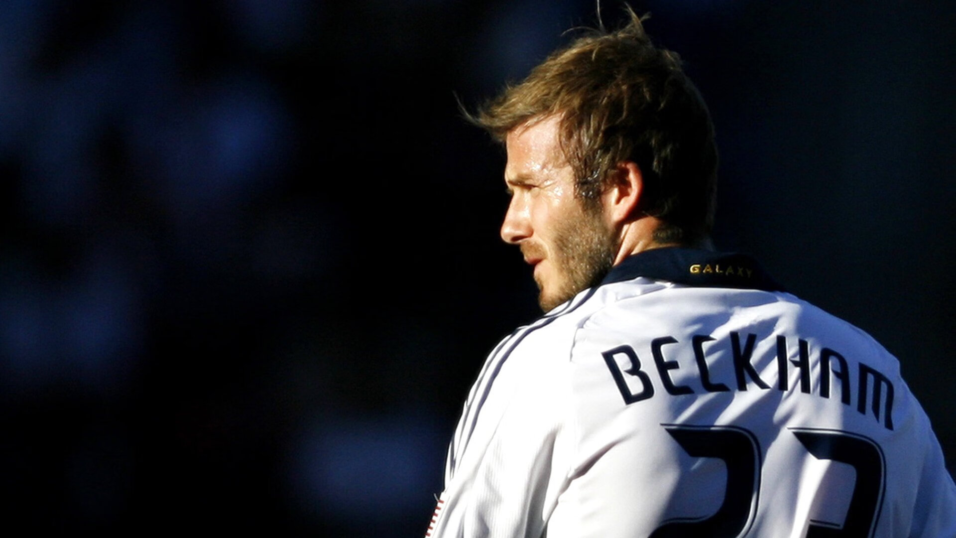 艺术与铁壁，当巴黎的华丽交响乐碾压奥地利寂静防线