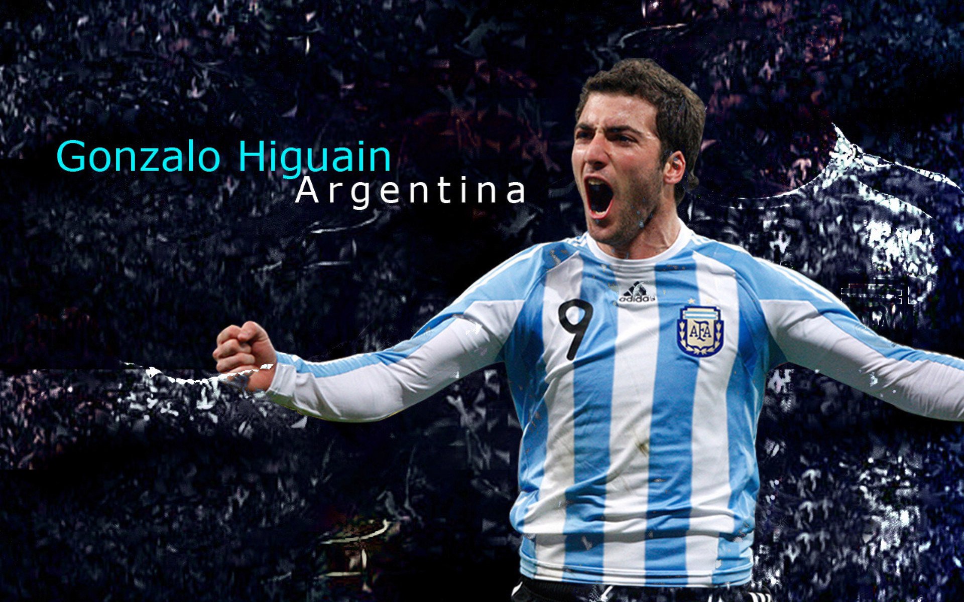 开云体育平台APP-唯一性之夜，冷门与纪录如何共同定义体育的永恒魅力